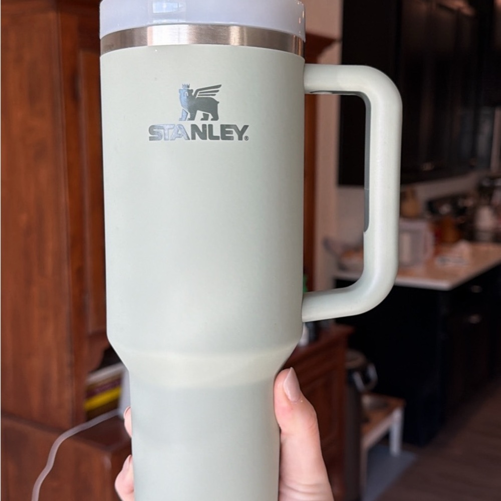 Stanley 40 oz Soft Matte Tumbler - Sage Green